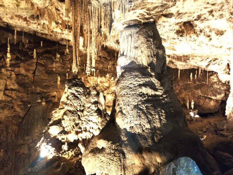 From Brno: Macocha Abyss and Punkva Caves Easy & Guided Tour - What to Expect from This Tour