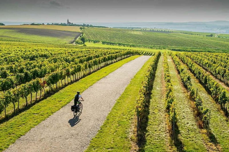 From Brno: Moravian Tuscany E-Bike Tour with Wine Tasting - An In-Depth Look at the Moravian Tuscany E-Bike Tour