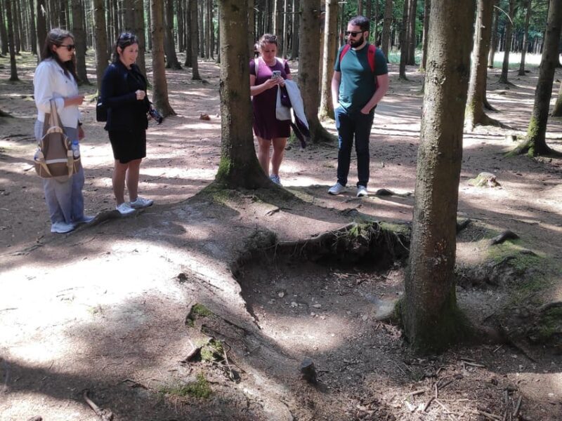 from Brussels: Historic Battle of the Bulge Sites Tour - Final Thoughts