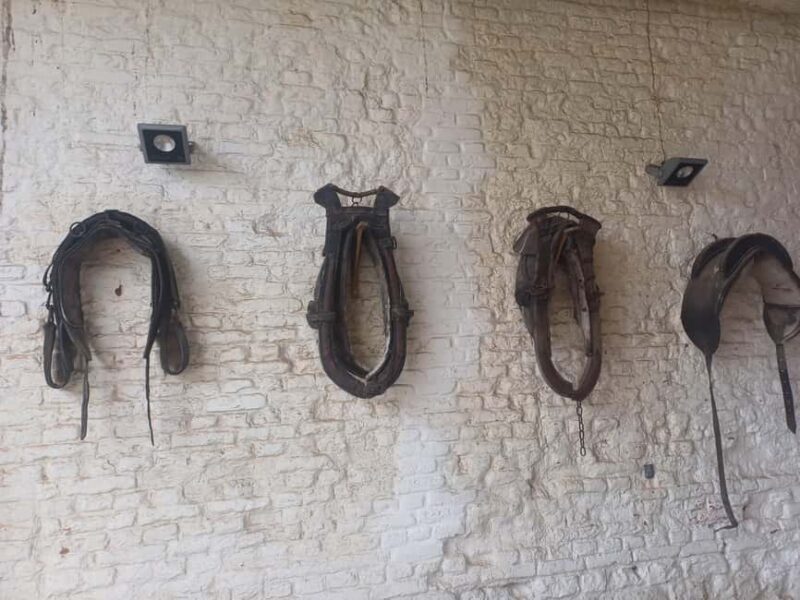 "From Brussels: Waterloo Battlefield History Private Tour - Who Will Love This Tour?