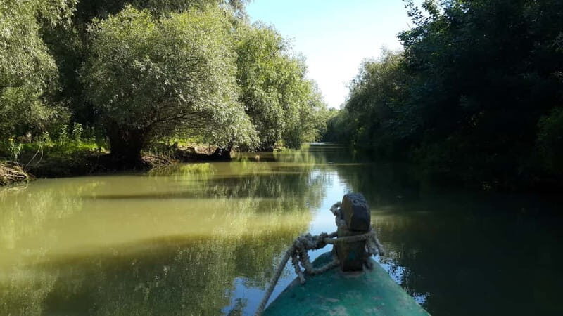 From Bucharest: 3-Day Danube Delta Birdwatching Private Tour - Who Will Enjoy This Tour?