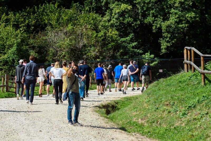 From Bucharest: Bear Sanctuary and Dracula Castle Day Tour - The Complete Experience: What to Expect from This Tour