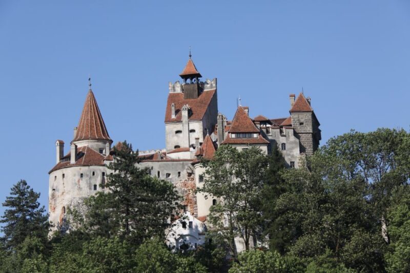 From Bucharest: Bear Sanctuary and Dracula Castle Day Tour - Final Thoughts