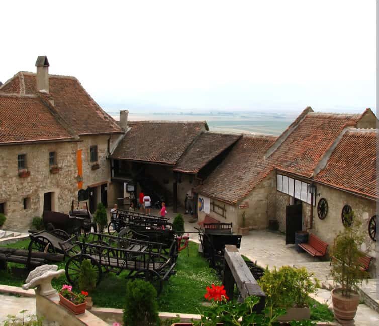 From Bucharest: Bears Sanctuary&Rasnov Fortress Private tour - Key Points