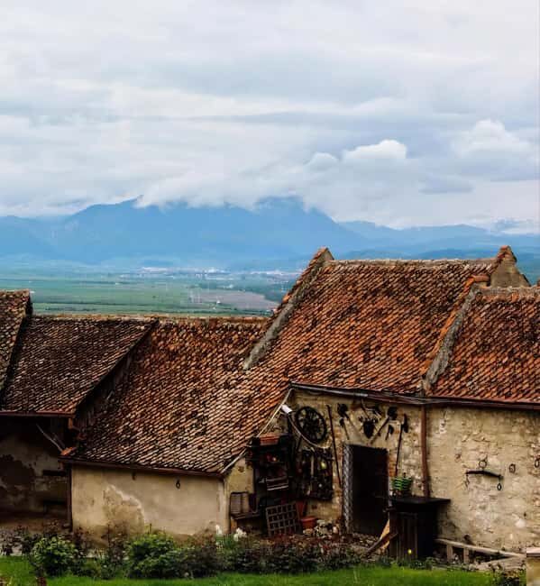 From Bucharest: Bears Sanctuary&Rasnov Fortress Private tour - Entry Fees and Additional Costs