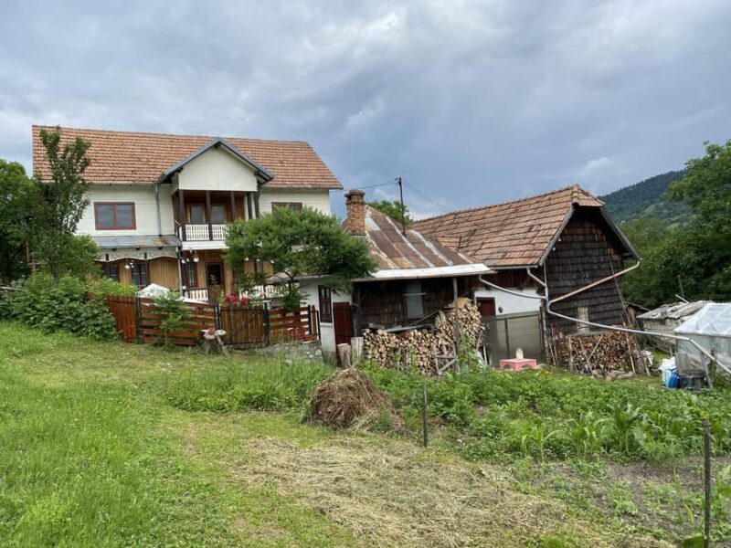 From Bucharest: Boutique Wine Tasting Private Day Trip - The Transport & Logistics