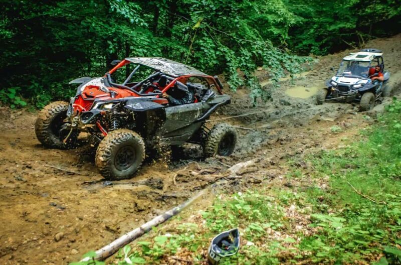 From Bucharest: BUGGY Quad Tour in the Carpathian Mountains - Final Thoughts