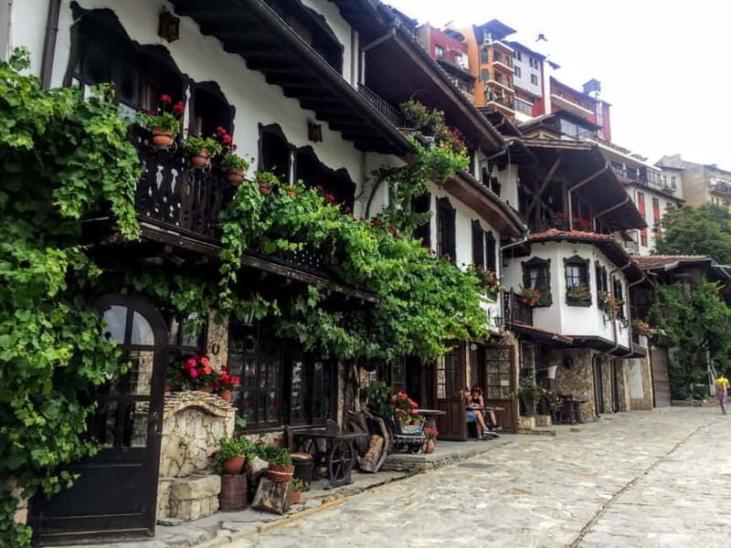 From Bucharest: Bulgaria & Veliko Tarnovo - Private Tour - Practical Details and Value