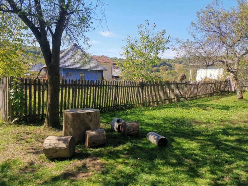 From Bucharest: Carpathian Villages and Sinaia Day Trip - Key Points