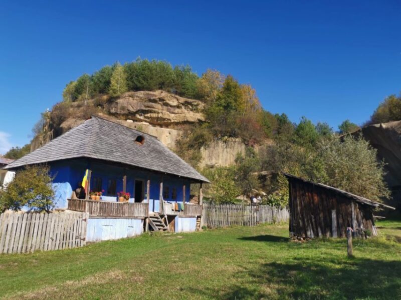 From Bucharest: Carpathian Villages and Sinaia Day Trip - An In-Depth Look at the Tour Experience