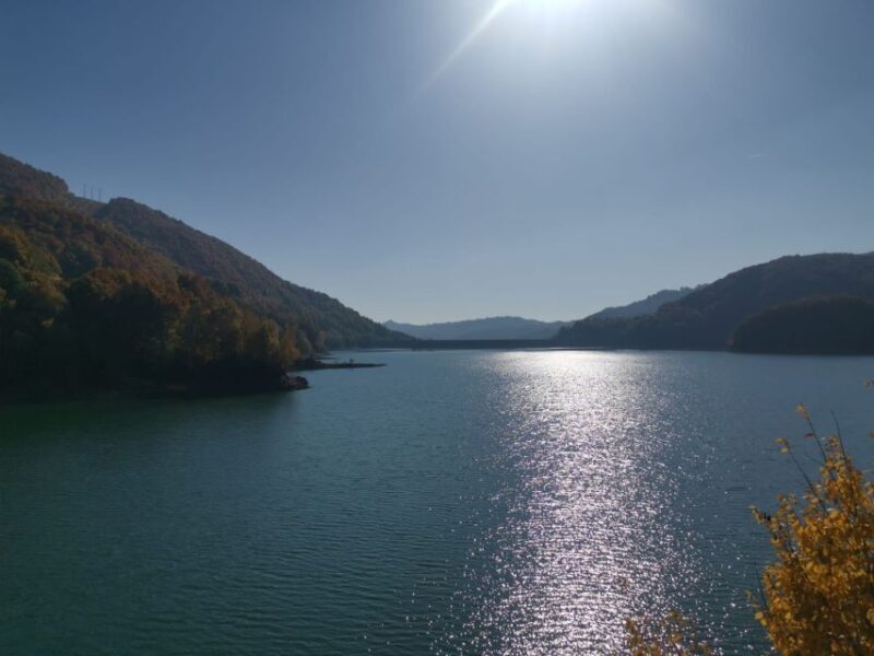 From Bucharest: Carpathian Villages and Sinaia Day Trip - FAQ