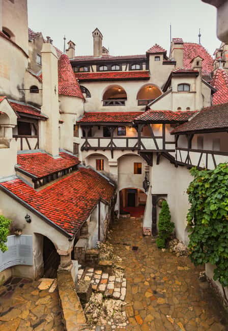 From Bucharest: Day Trip to Dracula's Castle, Peles & Brasov - Who Will Love This Tour?