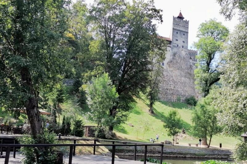 From Bucharest: Dracula's Castle & Bear Sanctuary Adventure - Authentic Experiences and Guide Insights