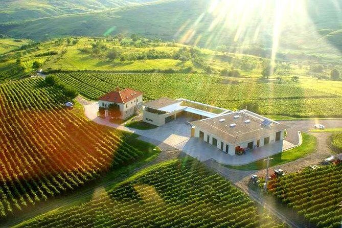 From Bucharest: Exclusive Wine Tasting Tour in Dealu Mare - Key Points