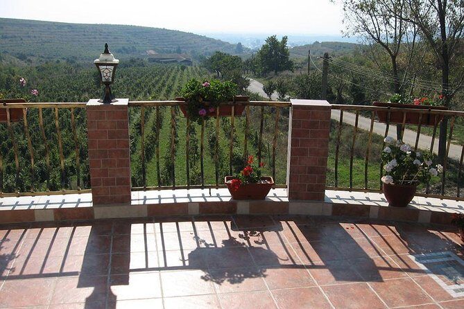 From Bucharest: Exclusive Wine Tasting Tour in Dealu Mare - Final Thoughts