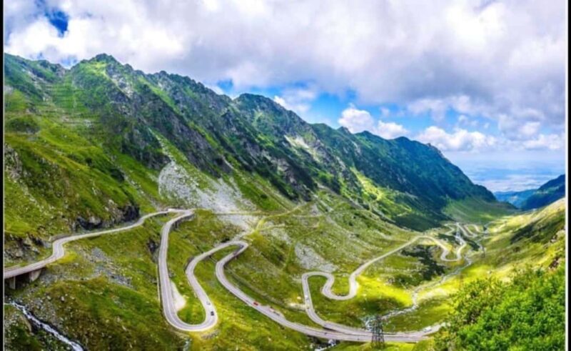 From Bucharest: Fgra Mountains and Bear Watching Tour - An In-Depth Look at the Tour Experience