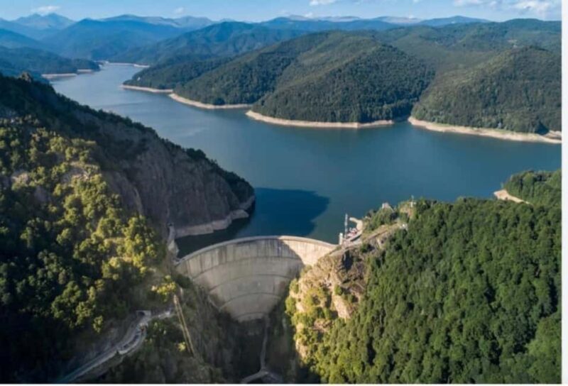 From Bucharest: Fgra Mountains and Bear Watching Tour - Why This Tour Offers Outstanding Value