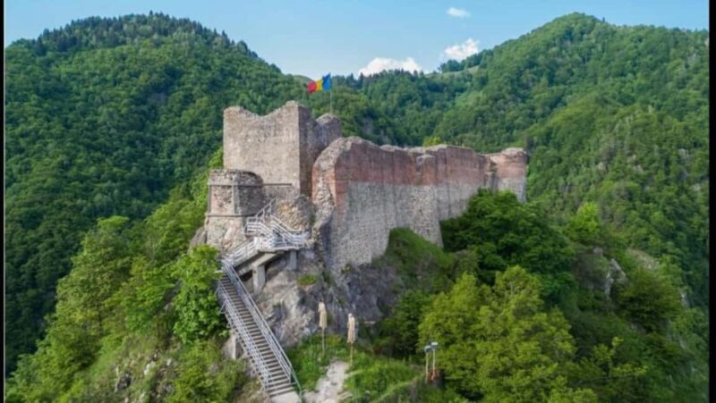 From Bucharest: Fgra Mountains and Bear Watching Tour - FAQs