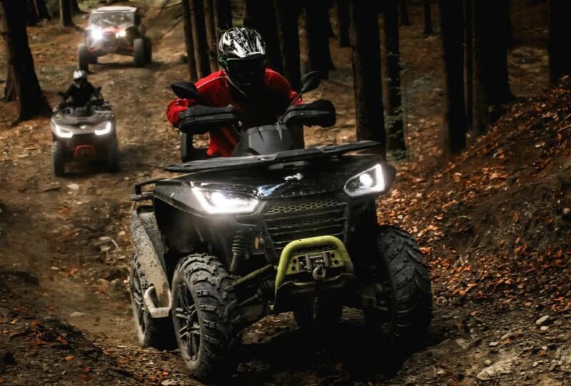 From Bucharest: Fun into the wild Snowmobile tour - Key Points