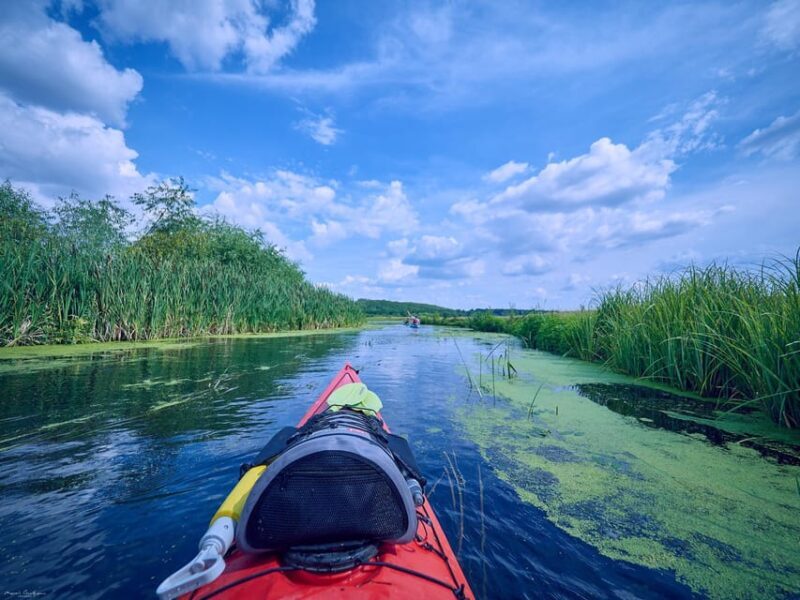 From Bucharest: Neajlov River Kayaking Adventure - Key Points