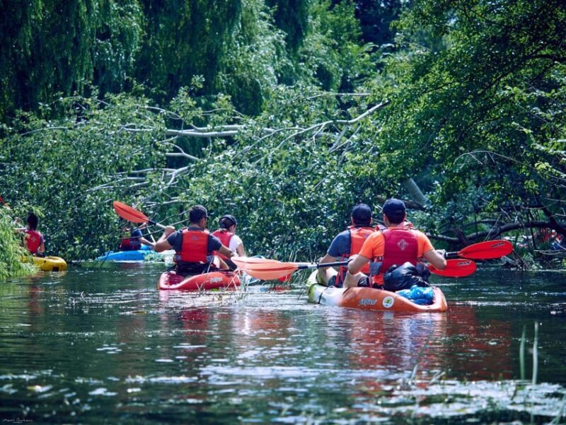 From Bucharest: Neajlov River Kayaking Adventure - Final Words