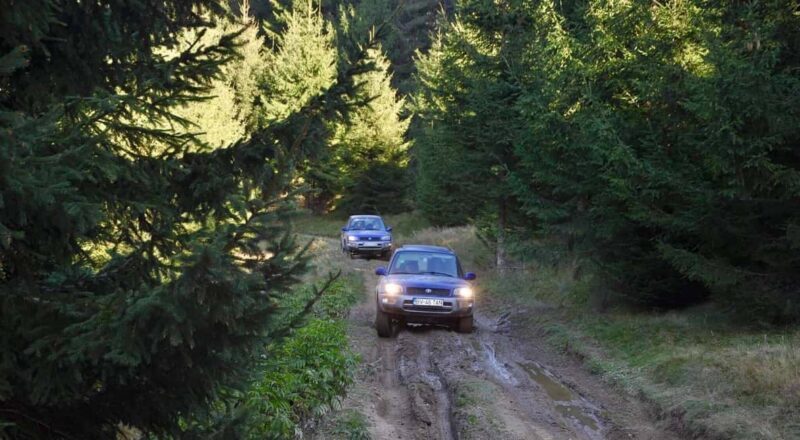 From Bucharest: Off-Road in the Carpathian Mountains - An In-Depth Look at the Off-Road Experience