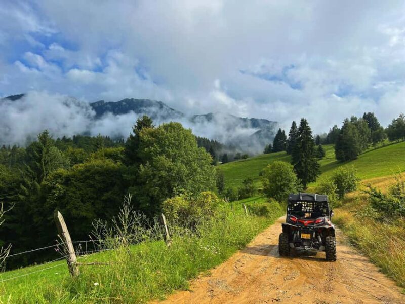 From Bucharest: Off-Road in the Carpathian Mountains - Who Will Love This Tour?