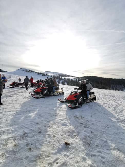 From Bucharest: Snowmobile Tour in the Carpathian Mountains - Who Should Do This Tour?
