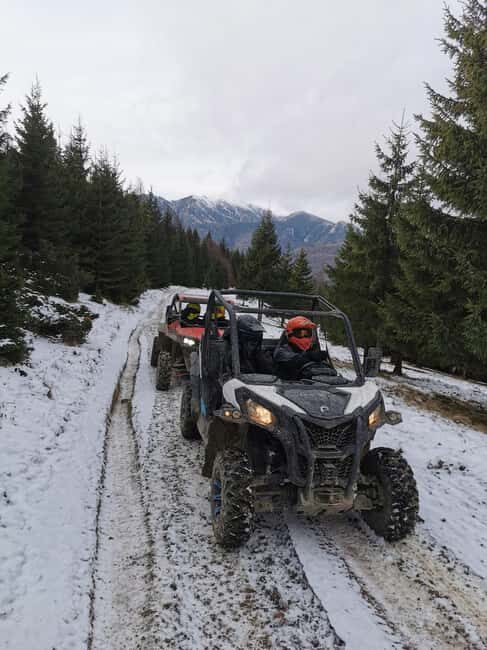 From Bucharest: Snowmobile Tour in the Carpathian Mountains - Final Thoughts