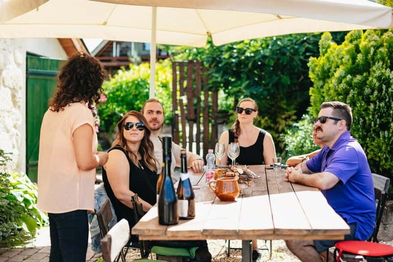 From Budapest: Etyek Wine Tasting Tour with 3-Course Meal - Exploring the Etyek Wine Region: A Detailed Look at the Guided Tour from Budapest