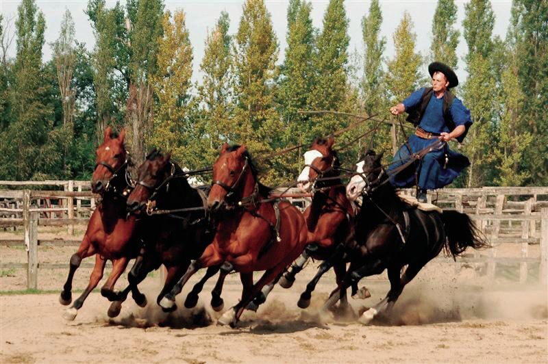 From Budapest: Full-Day Puszta Tour with Lunch and Show - A Deep Dive into the Puszta Full-Day Tour