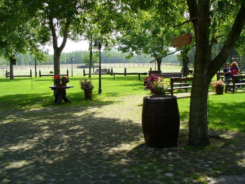 From Budapest: Full-Day Puszta Tour with Lunch and Show - The Transport and Schedule