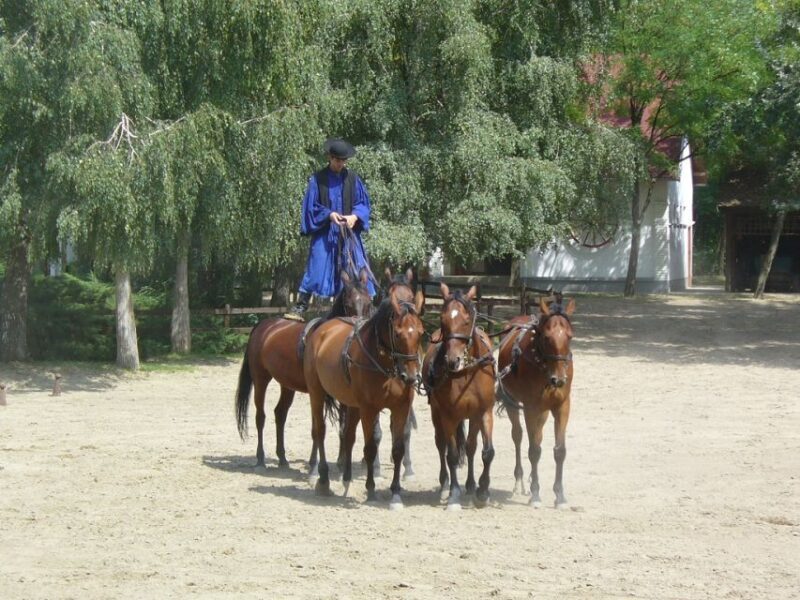 From Budapest: Full-Day Puszta Tour with Lunch and Show - FAQs