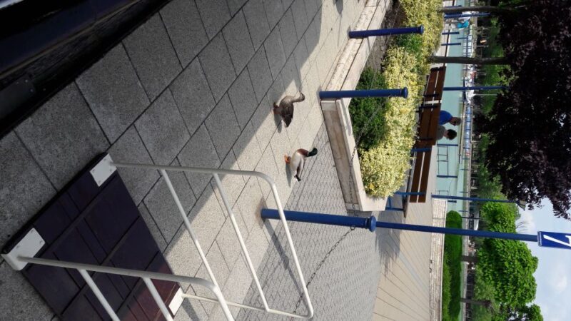 From Budapest: Lake Balaton Tour - Final Thoughts: Is It Worth It?