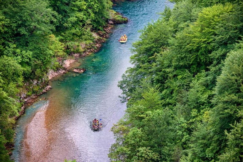 From Budva: Full-Day Tara River Rafting Trip With Lunch - An In-Depth Look at the Experience