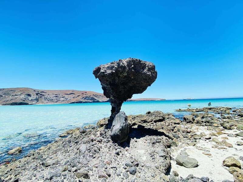 From Cabo/San José del Cabo: La Paz, Balandra & Todos Santos - Final Thoughts: Is This Tour Right for You?