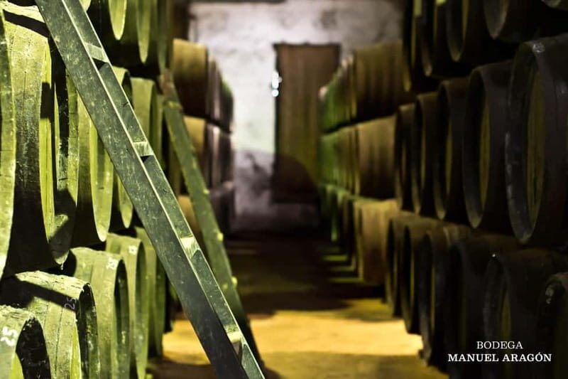 From Cádiz: Chiclana de la Frontera Winery Tour with Lunch - An In-Depth Look at the Experience