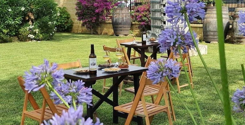 From Cádiz: Chiclana de la Frontera Winery Tour with Lunch - Who Would Love This Tour?