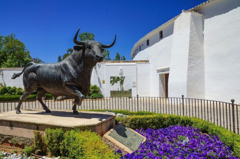 From Cadiz: Ronda & Arcos de la Frontera Private Day Trip - Practical Tips and What to Expect