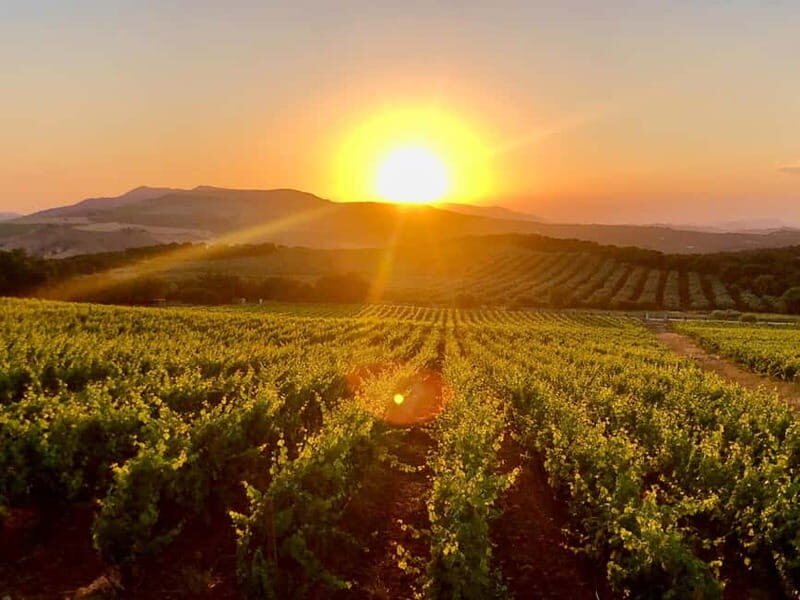 From Cádiz: Ronda Premium Private Day Tour with Wine Tasting - Key Points