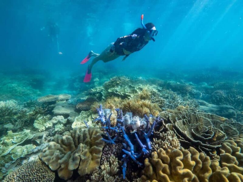 From Cairns: 2 Islands 1 day - Fitzroy & Green Islands - Frequently Asked Questions