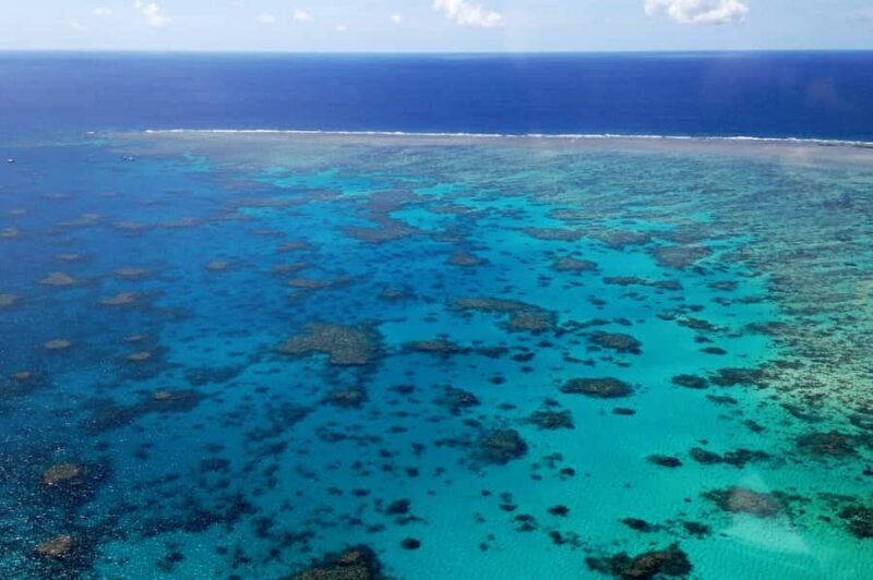 From Cairns: 40-Min Scenic Reef Window Seat Airplane Flight - Key Points