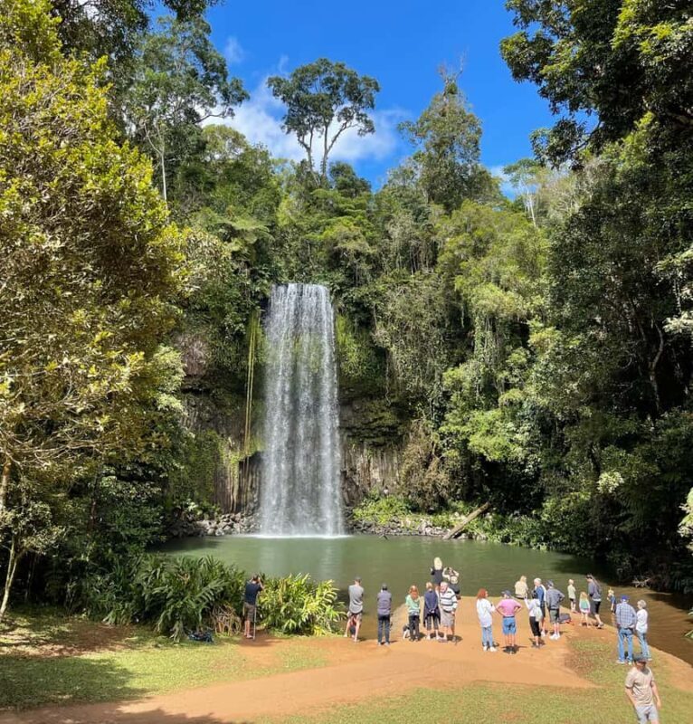 From Cairns: Atherton Tablelands and Paronella Park Day Trip - Final Thoughts