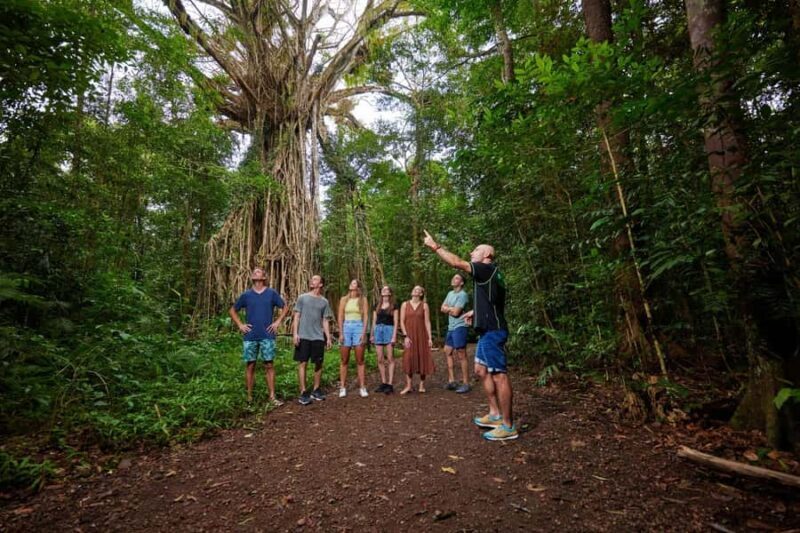 From Cairns: Barefoot Tablelands Waterfall & Rainforest Tour - FAQ
