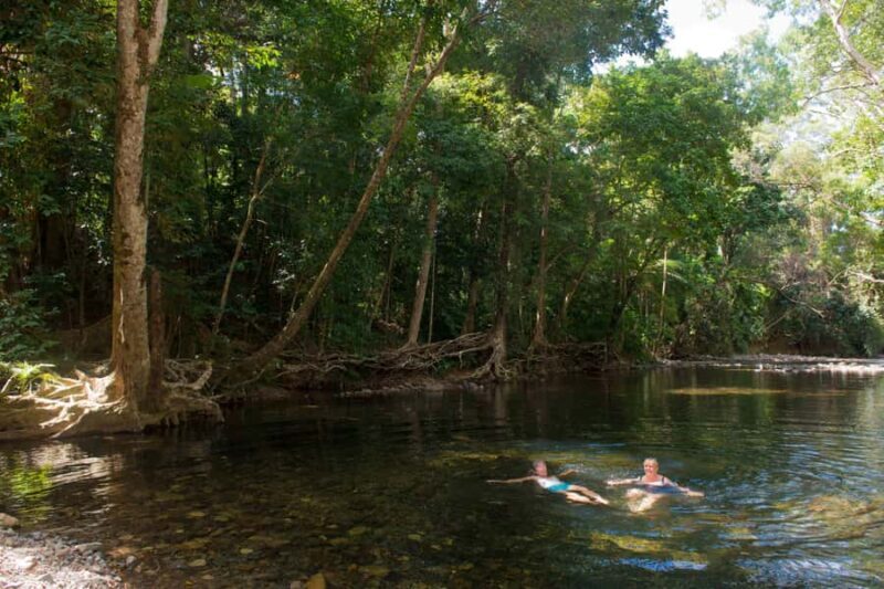 From Cairns: Daintree Rainforest & Cape Tribulation 4WD Tour - Who Should Consider This Tour?