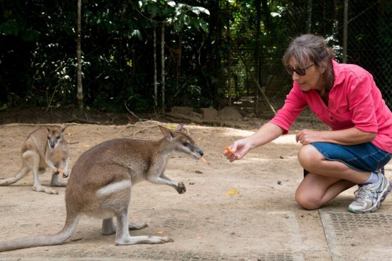 From Cairns: Daintree Rainforest & Cape Tribulation 4WD Tour - Final Thoughts