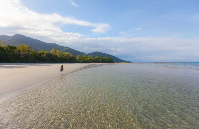 From Cairns: Daintree Wilderness & Cape Tribulation Bus Tour - An In-Depth Look at the Tour Itinerary