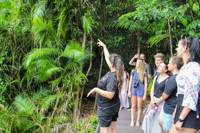 From Cairns: Daintree Wilderness & Cape Tribulation Bus Tour - Who Will Love This Tour?
