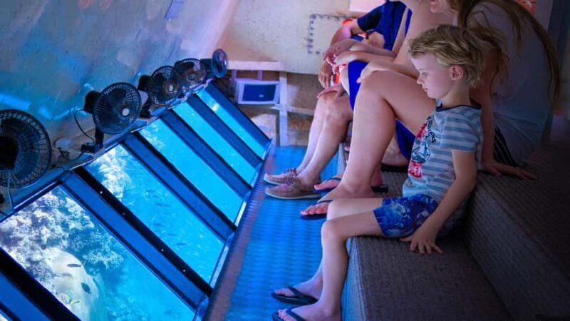 From Cairns: Frankland Island All-Inclusive Day Tour - A Thorough Look at the Experience