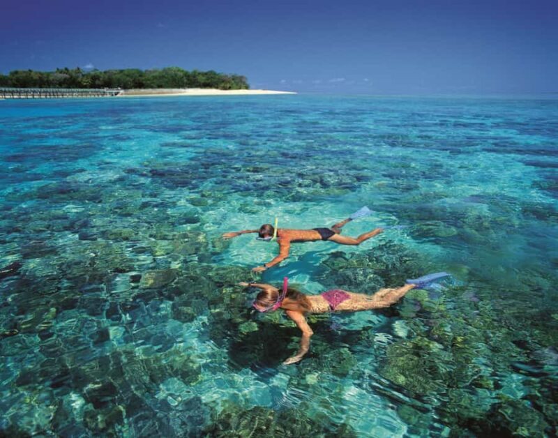 From Cairns: Full-Day Green Island Cruise - Who Will Appreciate This Tour?